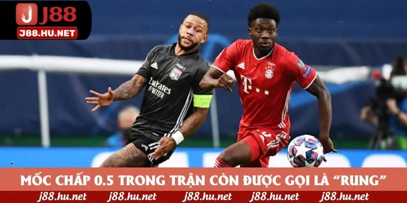Mốc chấp 0.5 trong trận còn được gọi là “rung”
